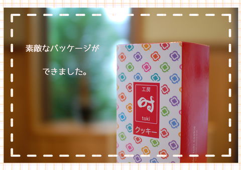 写真1